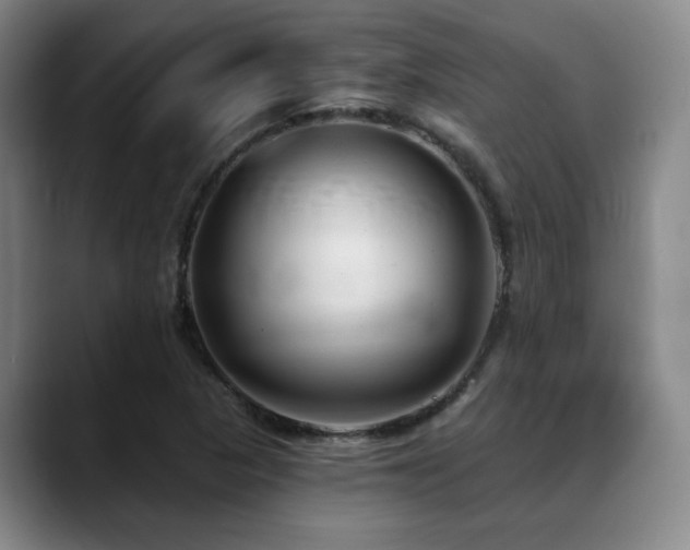 X0000089341313200706151036