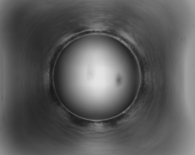 X0000089341315200706151036