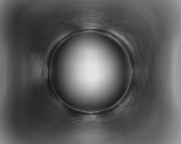 X0000089341317200706151036