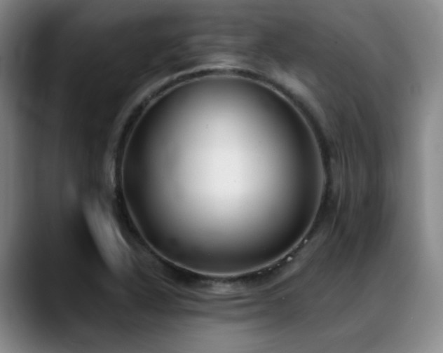 X0000089341318200706151036