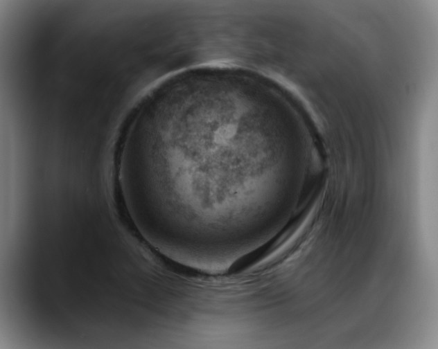 X0000089341319200706151036