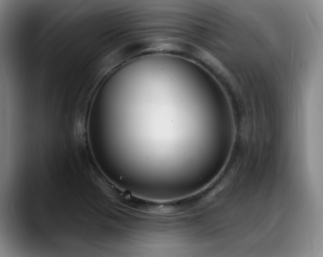 X0000089341321200706151036