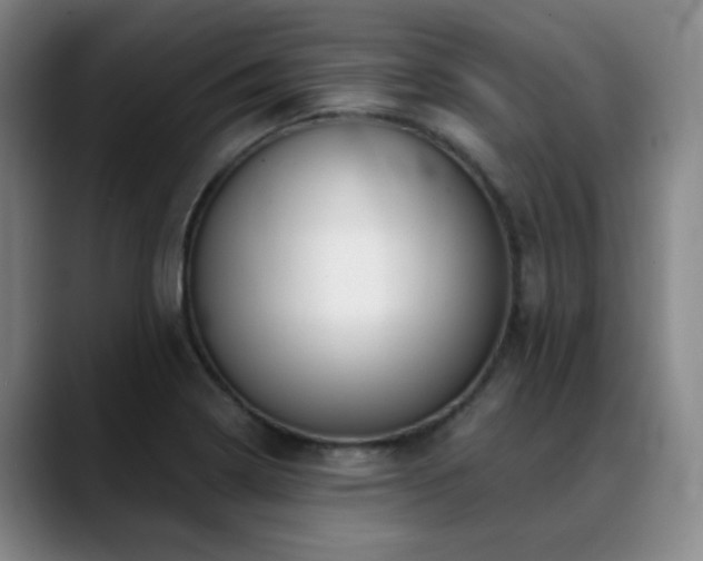 X0000089341322200706151036