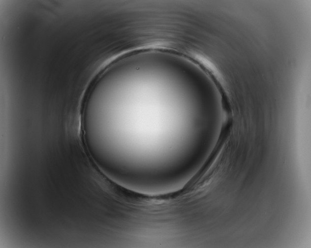 X0000089341324200706151036