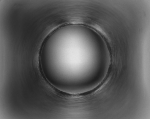 X0000089341325200706151036