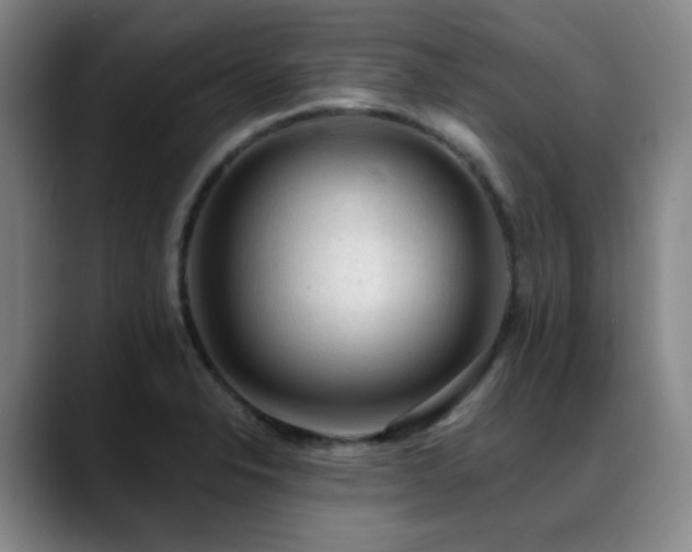 X0000089341326200706151036
