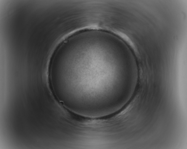 X0000089341327200706151036