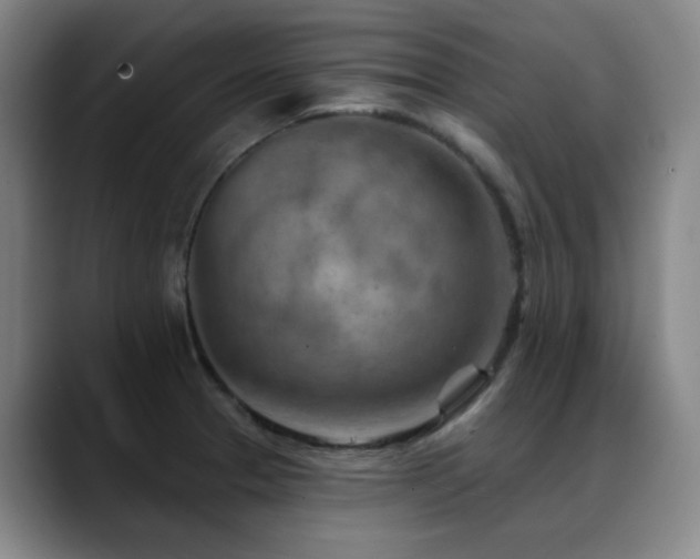 X0000089341329200706151036