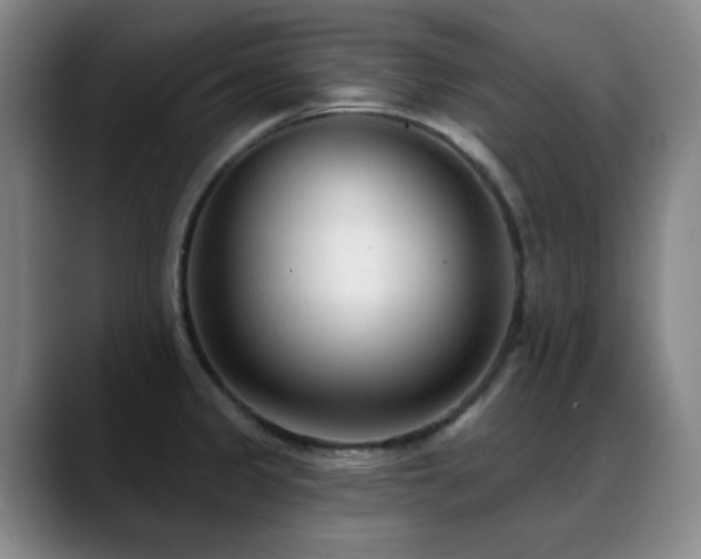 X0000089341333200706151036