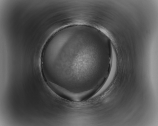 X0000089341334200706151036