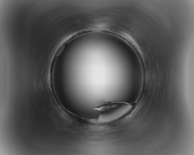 X0000089341336200706151036