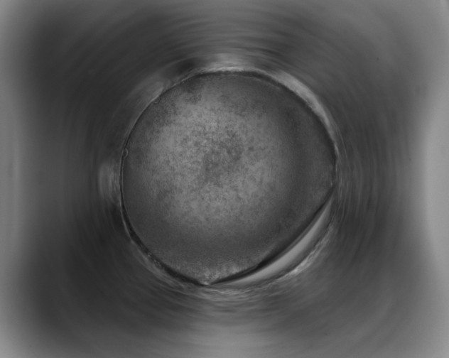X0000089341337200706151036
