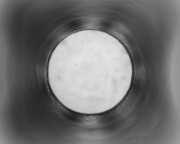 X0000089341338200706151036