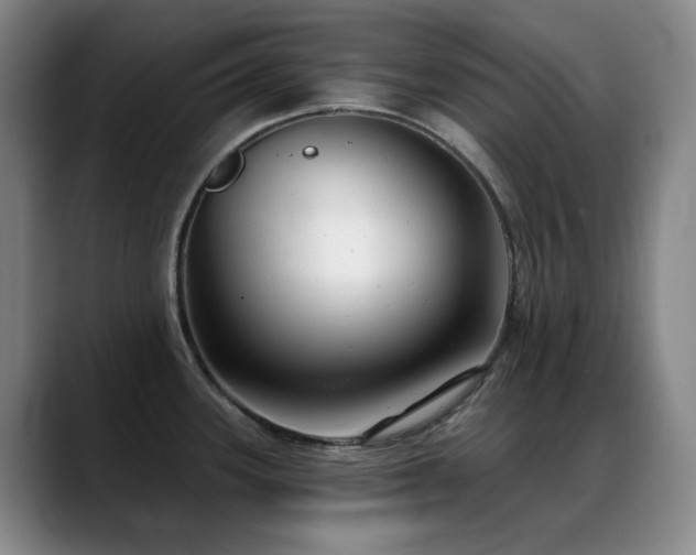 X0000089341339200706151036
