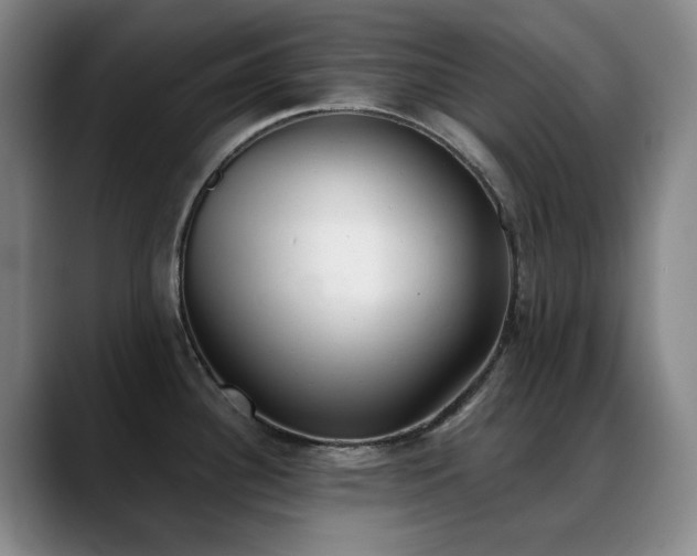 X0000089341340200706151036