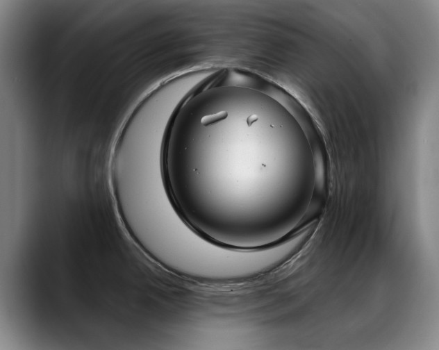 X0000089341342200706151036