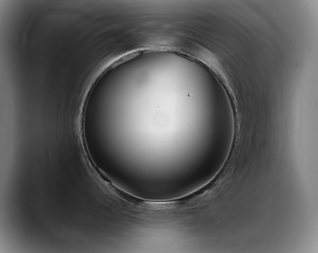 X0000089341344200706151036