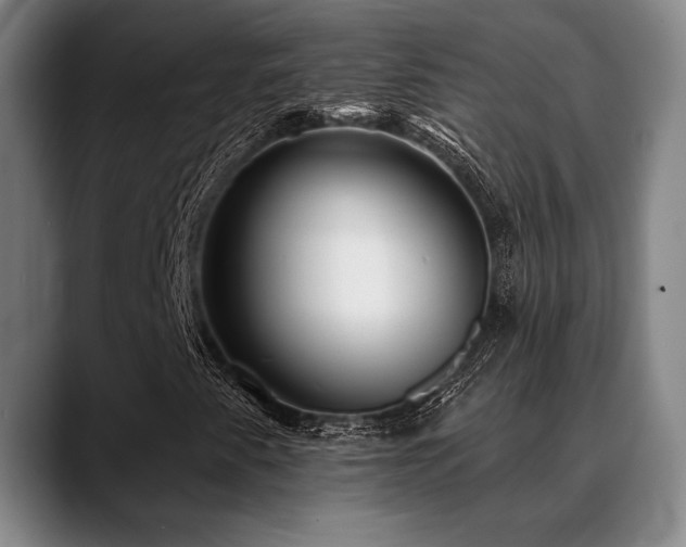 X0000089341345200706151036