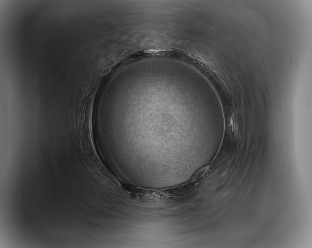X0000089341348200706151036