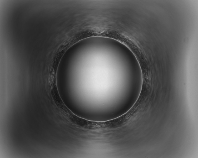 X0000089341349200706151036
