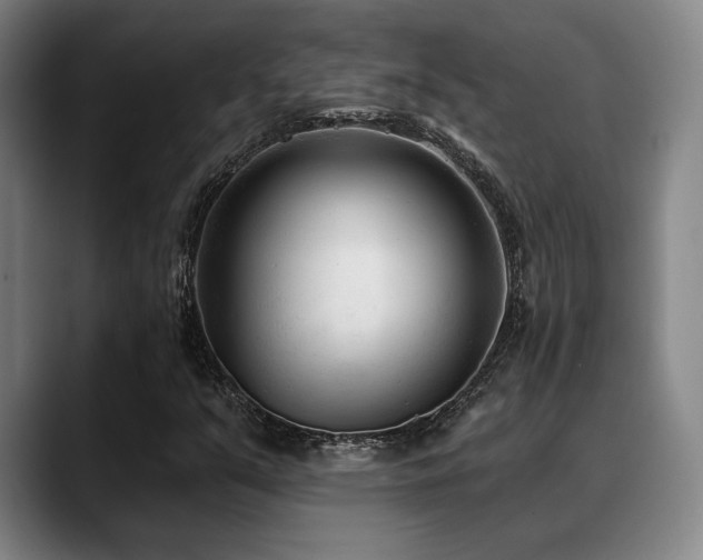 X0000089341351200706151036
