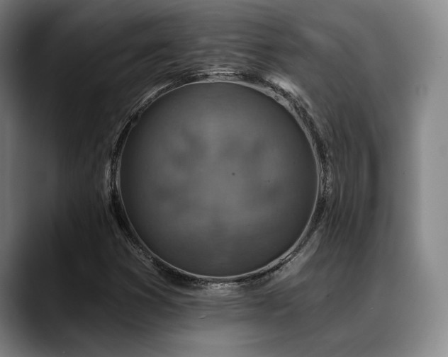 X0000089341353200706151036