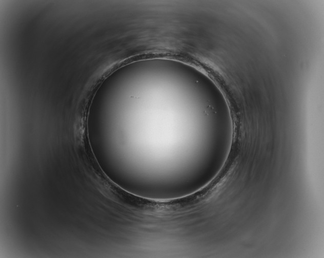 X0000089341355200706151036