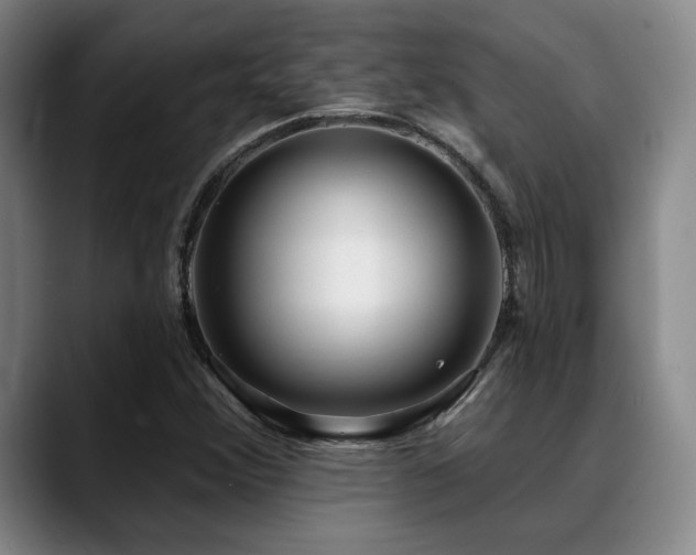 X0000089341356200706151036