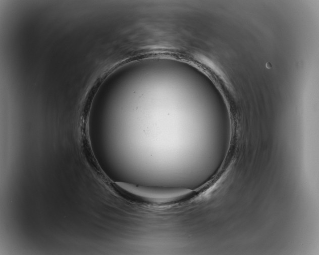 X0000089341357200706151036