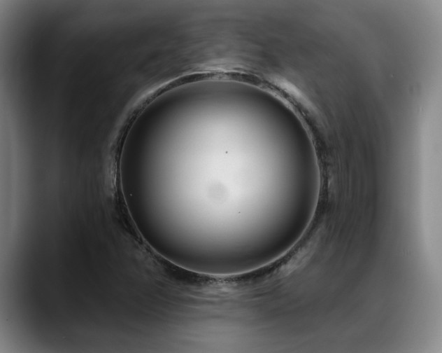 X0000089341358200706151036