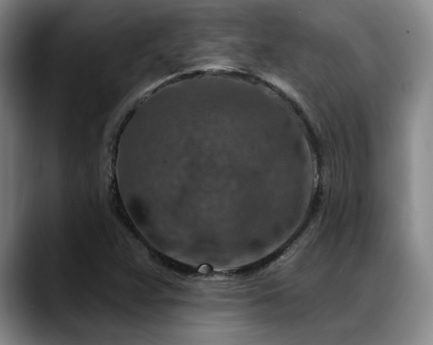 X0000089341359200706151036