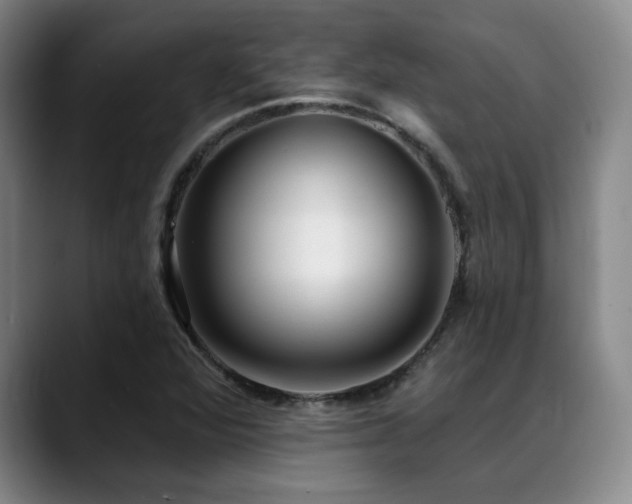 X0000089341360200706151036