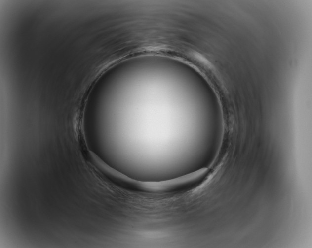 X0000089341361200706151036