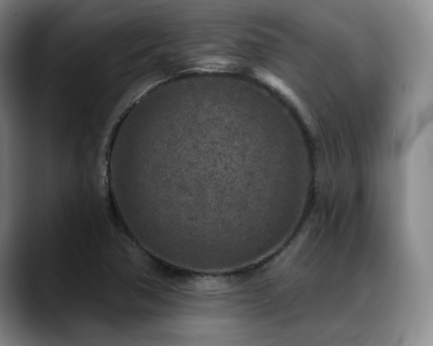 X0000089341362200706151036