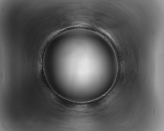 X0000089341363200706151036