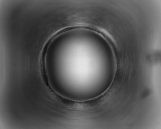 X0000089341364200706151036