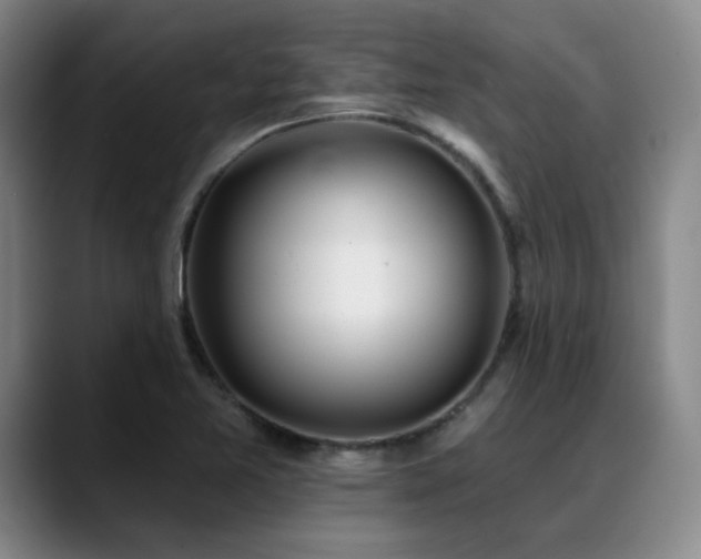 X0000089341365200706151036