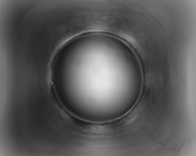 X0000089341366200706151036