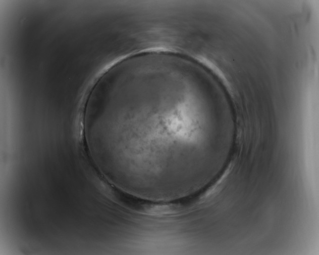 X0000089341367200706151036