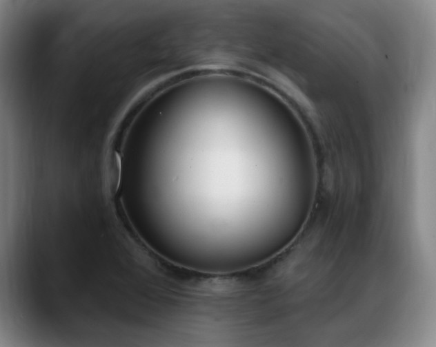 X0000089341368200706151036