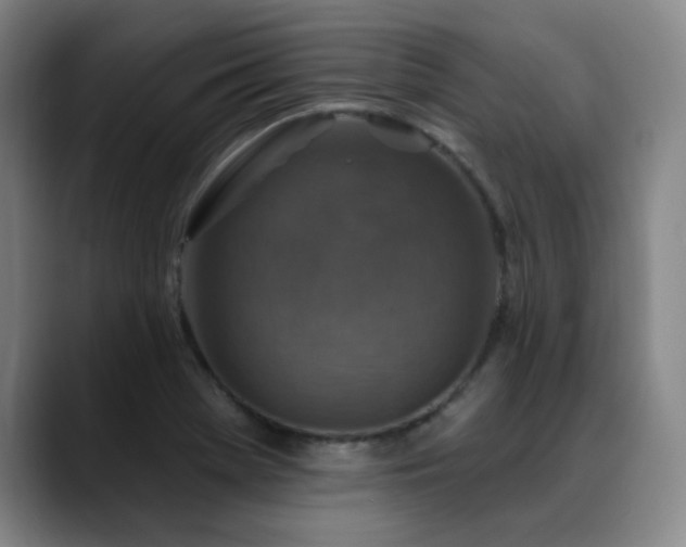 X0000089341369200706151036