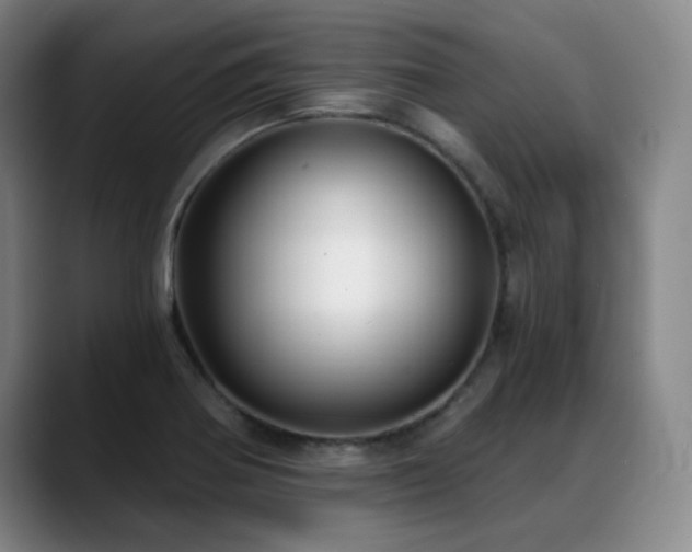 X0000089341370200706151036