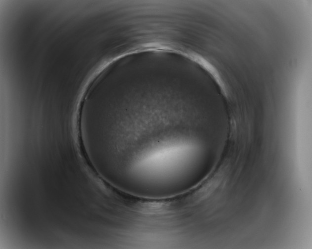 X0000089341373200706151035