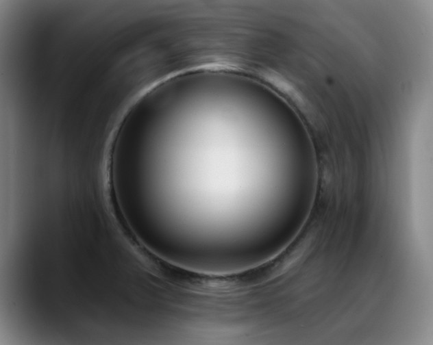 X0000089341375200706151035