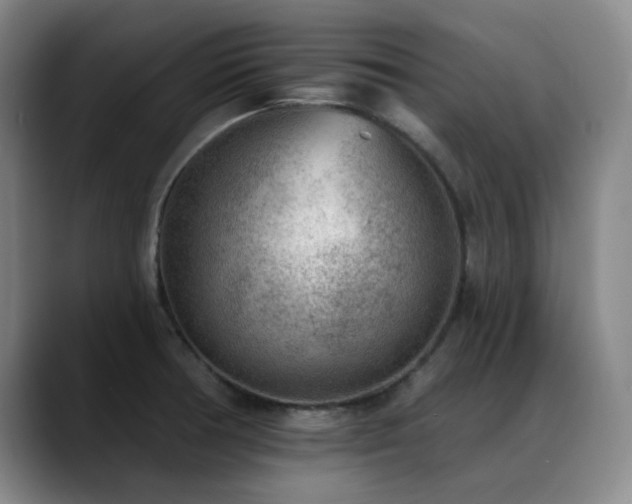X0000089341378200706151035