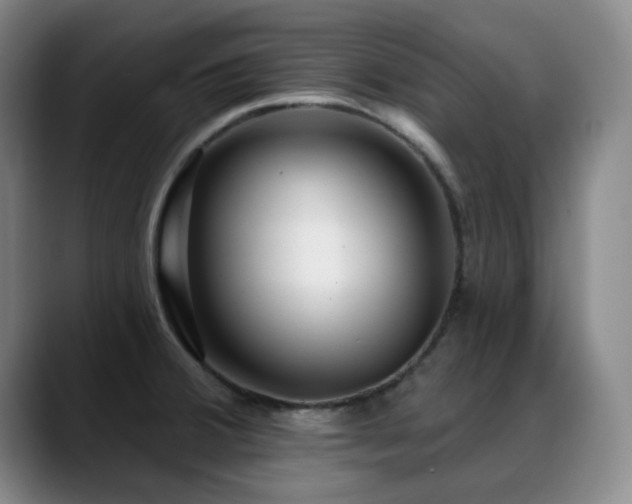 X0000089341380200706151035