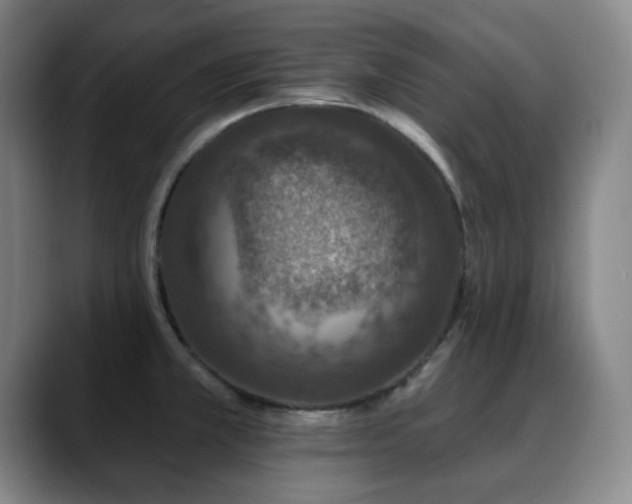 X0000089341381200706151035