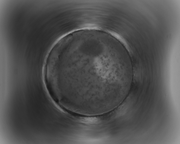 X0000089341383200706151035