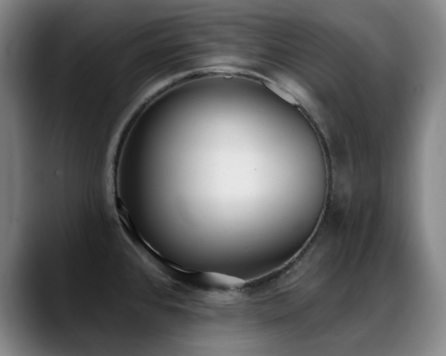 X0000089341384200706151035