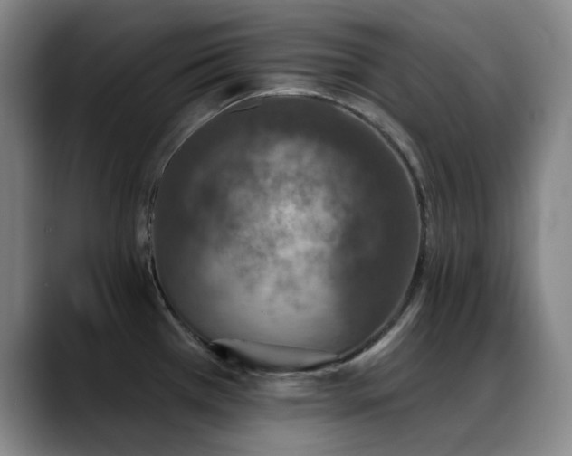 X0000089341385200706151035